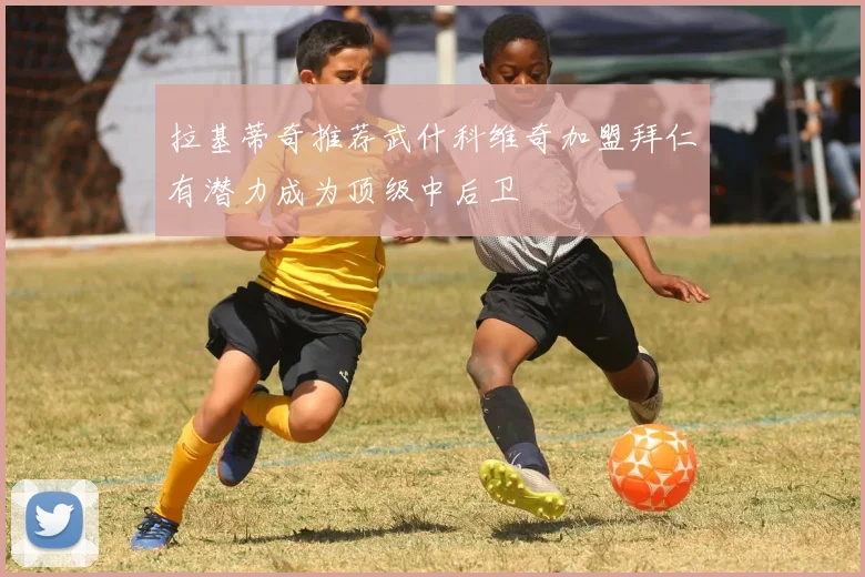 拉基蒂奇推荐武什科维奇加盟拜仁有潜力成为顶级中后卫