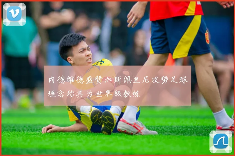 内德维德盛赞加斯佩里尼攻势足球理念称其为世界级教练